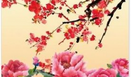 中国的国花是什么,牡丹与梅花的风华竞艳