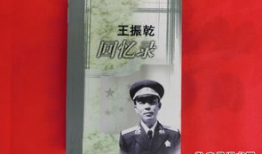 王振乾,探索创新与变革的领军人物