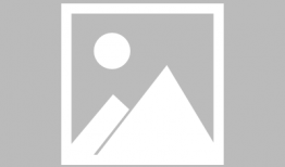 昙花一现的视频,瞬间绽放的美丽瞬间