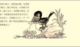 乌鸦喝水的故事视频,智慧与创新的古老寓言